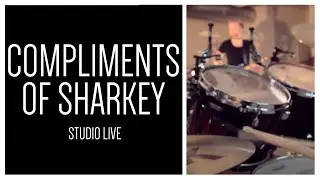 Pymlico - Compliments of Sharkey - Studio Live
