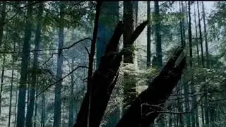 Wolverine vs spike Forest Fight Scene