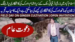 Open Invitation | Ginger Crop Production Field Day Islamabad | ZTBL Farm | 8 January 2026