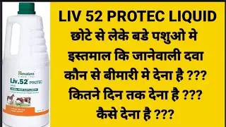 Liv 52 Protec Liquid || Feed Supplement For All Animals || How To Use