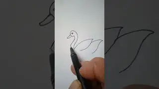 A Swimming Swan # Swan drawing easy # Shorts