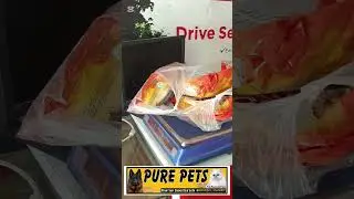 #videowalabhai #cat #lifeisbutadream #funnypet #pets #paisayenyasathiupay #animalhumor