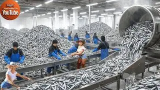 Inside a Fish Sauce Factory: Producing Premium Anchovy Fish Sauce in Vietnam