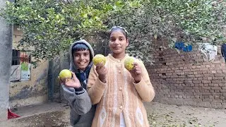 Itne Sare नींबू Tod Liye 😅