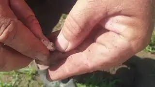 metal detecting for deep silver ep1 of 2
