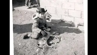 DOG EAT DOG - Mickey Leigh