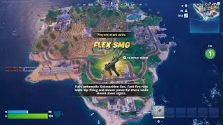 Fortnite_20260118011526