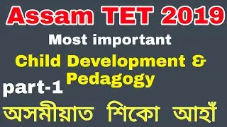 Assam TET 2019 Child Development and Pedagogy