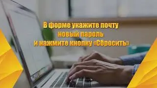 Восстановление пароля. Сетевой маркетинг. МЛМ