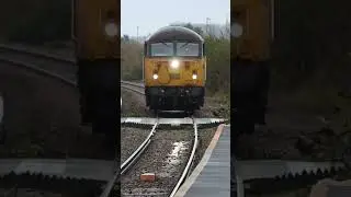 Colas 56049 