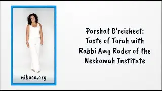 Taste of Torah: Parshat Breisheet | Rabbi Amy Rader | Modern Jewish Teaching & Inspiration