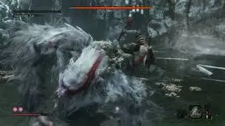 morvampir vs gardiyan monke