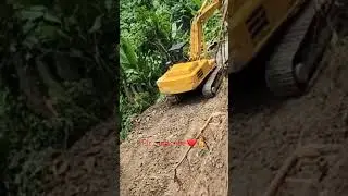 #yt #hitachi #tree #root #excavator #shortfeed #push #powerful #pleasesubscribe