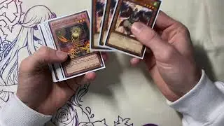 Tengu Plant Deck Profile! 2011 Yugioh