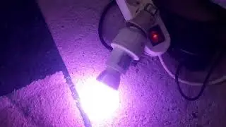 Am.dat.pe.ele.50.lei.acela.din.clip.pe sensor.