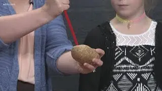 WonderWorks shares the science of putting a straw through a potato