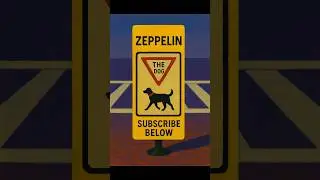Traffic Safety w/ Zeppelin the Dog🚦🐾  #ZeppelinTheDog #TrafficRules #TrafficSafety #RedLightStop