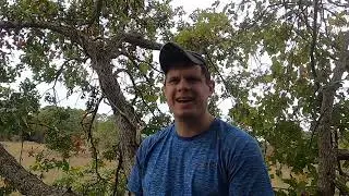 Va Beer Co  Free Verse review
