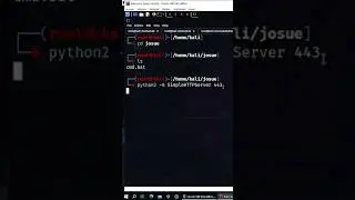#shorts - Python: Criando servidor