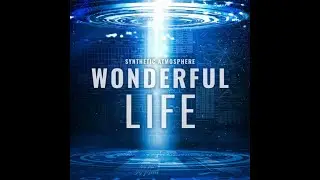 Synthetic Atmosphere - Wonderful Life