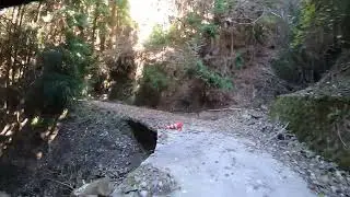 【生石・遠井周辺　探索】⑧　林道宮川遠井線２