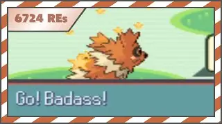 [LIVE] [ISHC 2020 #2] Shiny Zigzagoon [Phase 1] after 6724 REs in Ruby