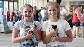 Snapshot of the Year 2018: RSPCA Queensland