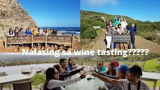 Top Things to do in Capetown South Africa..Day 5 (The Country Side)