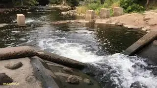 Relaxing Schneider Creek (GRCA) - Under The Bridge Dam