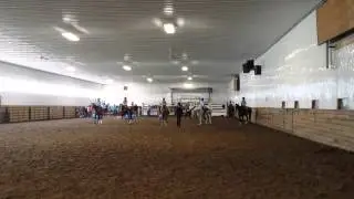 4h wester pleasure