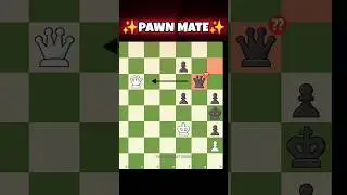 Black Dug his own GRAVE  ⚰️💀⚰️ #checkmate #chess #ajedrez #edit #puzzle #shorts #viral
