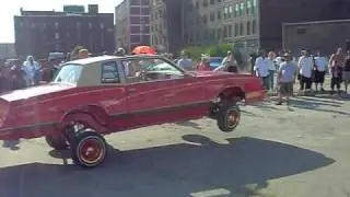 SDC15295