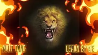 Matt Tang - Learn By Me (Official Visualizer)