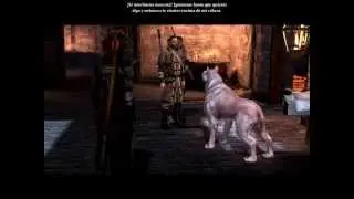 Anders with Hawke's mabari. (Dragon Age 2)
