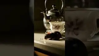 #catmouse  #viral  #reels #trend  #shorts #cat #cutecat