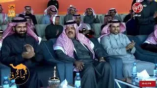 #جادة_الابل في حايل شوط الجمل ٣٠ صفر #عام_الإبل