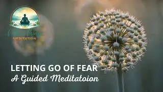 Letting Go Of Fear - #GuidedMeditation #OvercomeFear #AnxietyRelief