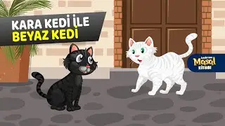 Kara Kedi ile Beyaz Kedi | Leyla'nın Masal Kitabı