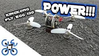 KingKong 130 Fly Egg Review