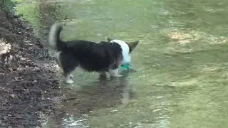 Riverside fun