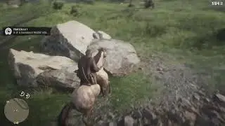 Red Dead Redemption 2 Horseman 1 - 2 With A Champagne MFT And Leopard Appaloosa In Chapter 2
