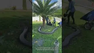Transforming a Yard with Custom Concrete Edging