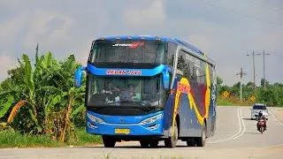 Mengejar Bus Medan Jaya scania k360 & Putra Pelangi 2542