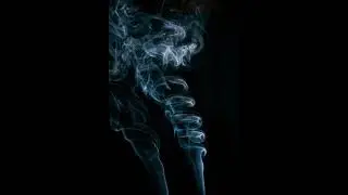 Andrew Lozano - Honey (Freqy Music Group)