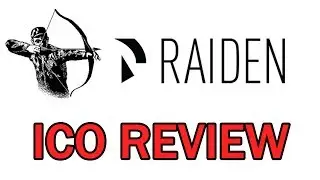 Raiden Network ICO Review - HuntingTheCoins