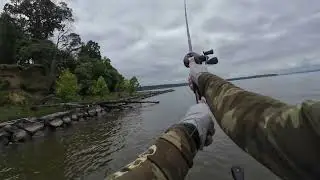 3 Hour Fishing Bonanza on the Potomac River