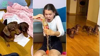 БЕДНАЯ АРИАНА😭