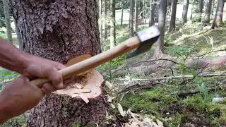 Abattage à la hache XP65  4