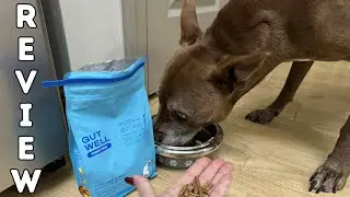 Native Pet GutWell Power Poop Supplement for Dogs | Review