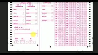 bihar tet